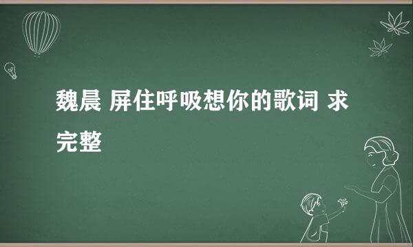 魏晨 屏住呼吸想你的歌词 求完整