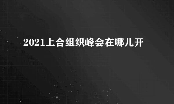 2021上合组织峰会在哪儿开