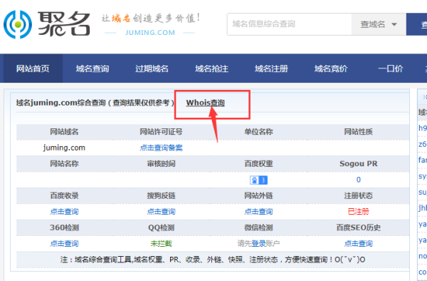 怎么查域名