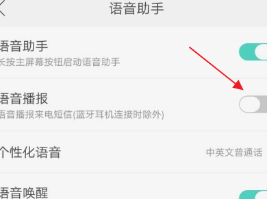 语音播报怎么关闭