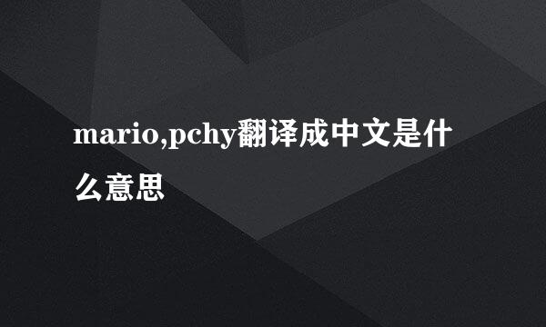 mario,pchy翻译成中文是什么意思