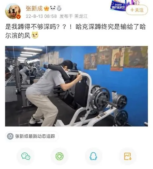 张新成晒深蹲动图回应屁垫争议，具体是如何回应的？