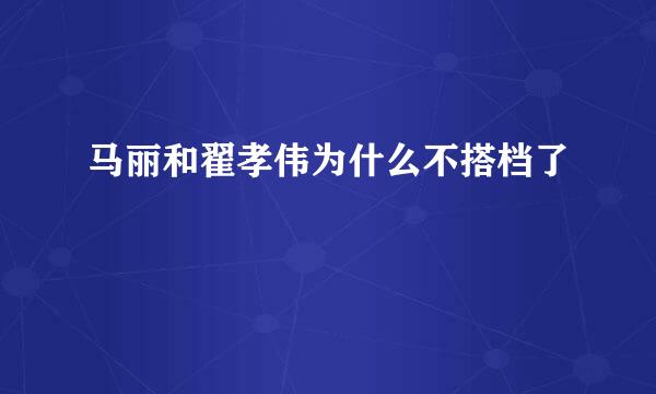 马丽和翟孝伟为什么不搭档了