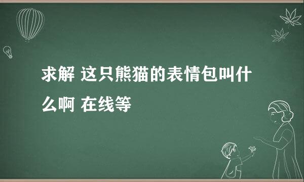 求解 这只熊猫的表情包叫什么啊 在线等