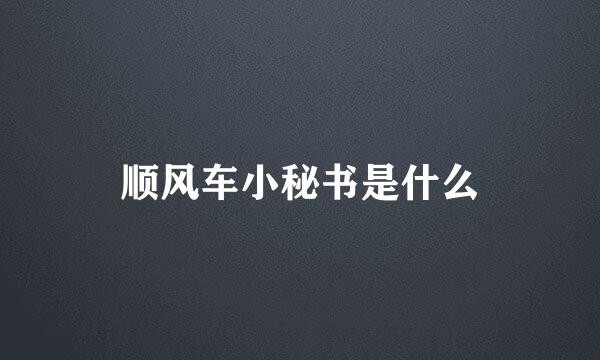 顺风车小秘书是什么