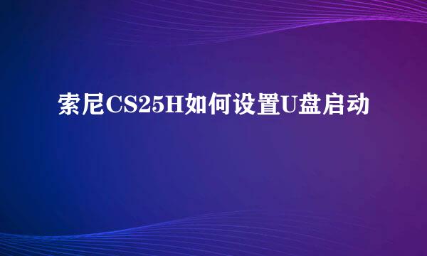 索尼CS25H如何设置U盘启动