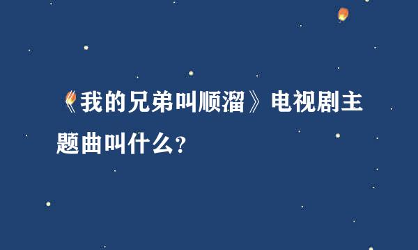 《我的兄弟叫顺溜》电视剧主题曲叫什么？