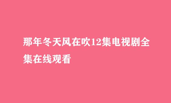 那年冬天风在吹12集电视剧全集在线观看