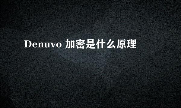 Denuvo 加密是什么原理