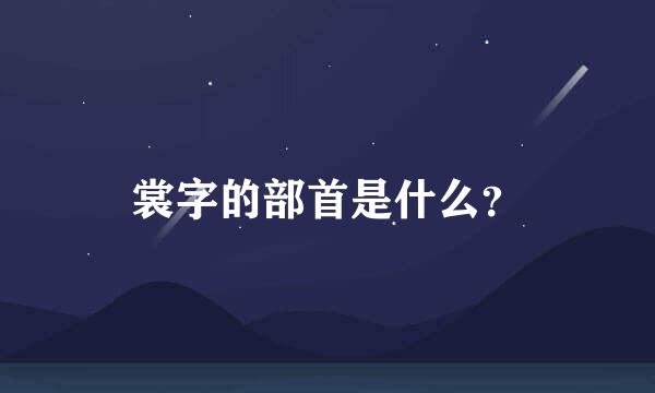 裳字的部首是什么？