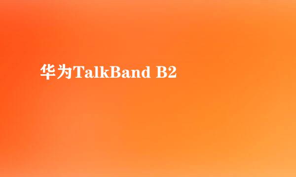 华为TalkBand B2