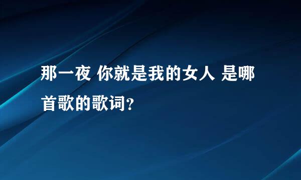 那一夜 你就是我的女人 是哪首歌的歌词？