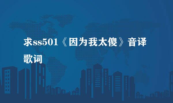 求ss501《因为我太傻》音译歌词