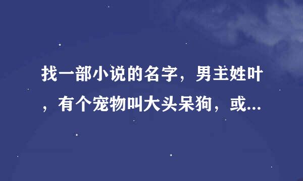 找一部小说的名字，男主姓叶，有个宠物叫大头呆狗，或者小九，另外一个宠物叫银龙，女主应该是黑暗之女。