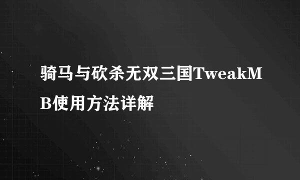 骑马与砍杀无双三国TweakMB使用方法详解