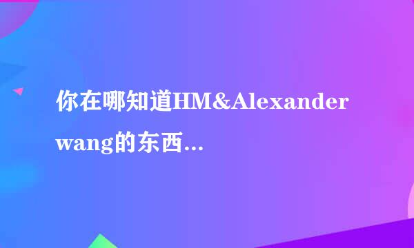 你在哪知道HM&Alexander wang的东西和价位呢