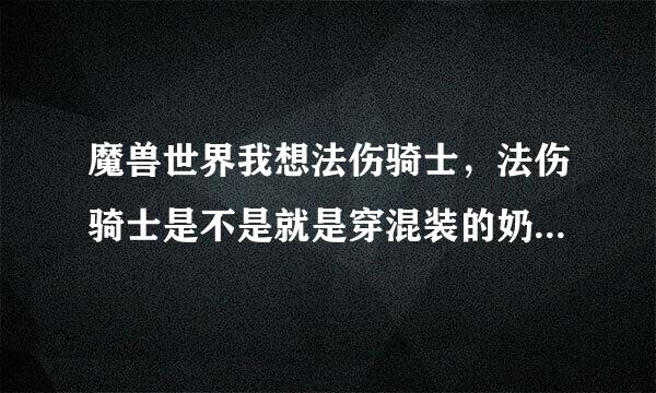 魔兽世界我想法伤骑士，法伤骑士是不是就是穿混装的奶骑呢？请问一下这个职业有前途吗？