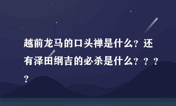 越前龙马的口头禅是什么？还有泽田纲吉的必杀是什么？？？？