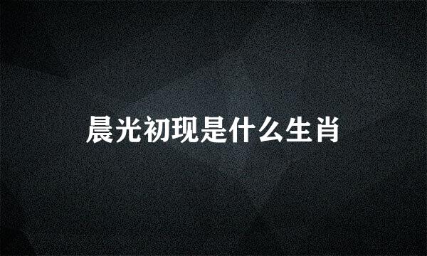 晨光初现是什么生肖