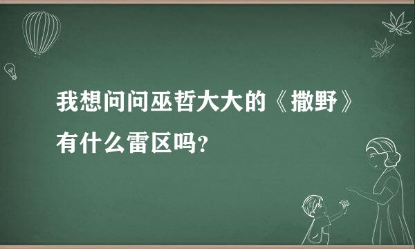 我想问问巫哲大大的《撒野》有什么雷区吗？