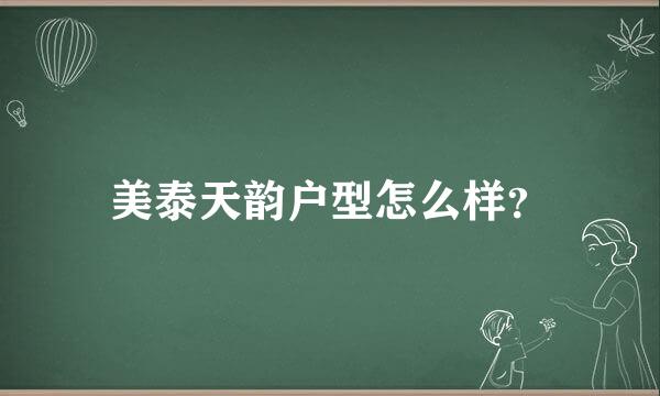 美泰天韵户型怎么样？