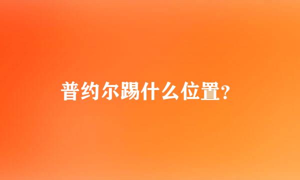 普约尔踢什么位置？