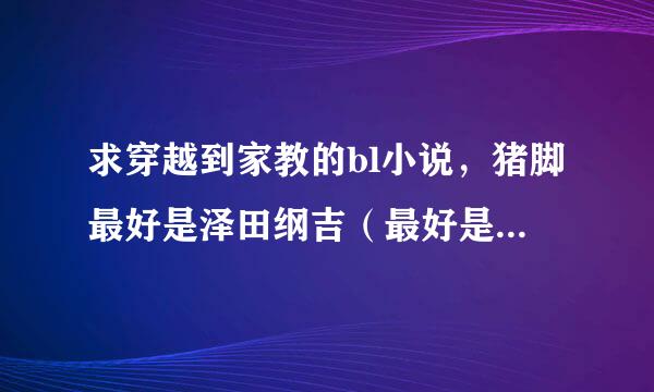 求穿越到家教的bl小说，猪脚最好是泽田纲吉（最好是总受）蓝波和斯夸罗