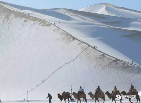 骆驼在撒哈拉沙漠雪中漫步，沙漠下雪有多罕见？