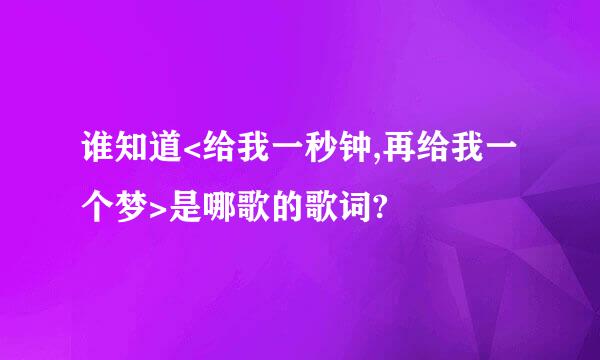 谁知道<给我一秒钟,再给我一个梦>是哪歌的歌词?