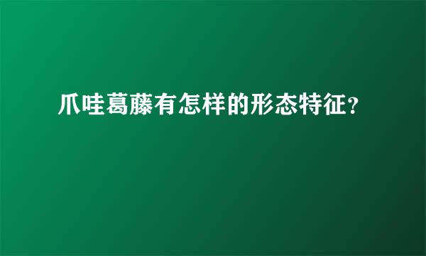 爪哇葛藤有怎样的形态特征？