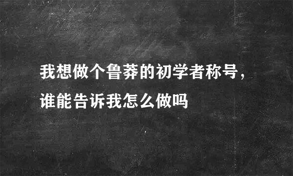 我想做个鲁莽的初学者称号，谁能告诉我怎么做吗