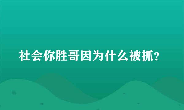 社会你胜哥因为什么被抓？