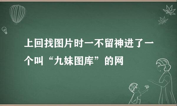 上回找图片时一不留神进了一个叫“九妹图库”的网