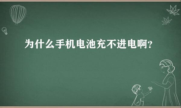 为什么手机电池充不进电啊？