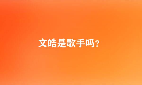 文皓是歌手吗？