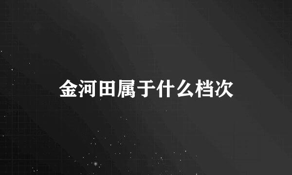 金河田属于什么档次