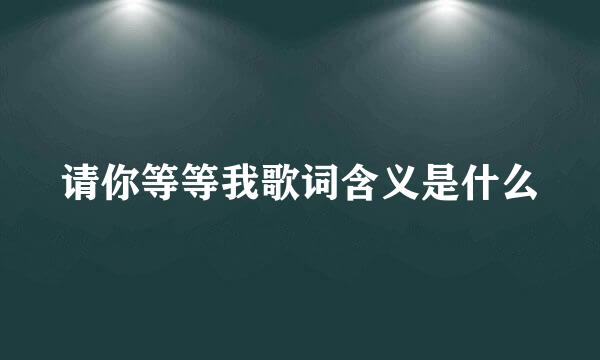 请你等等我歌词含义是什么