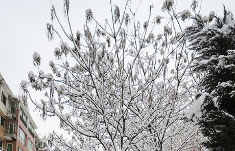 瑞雪兆丰年的下联是什么