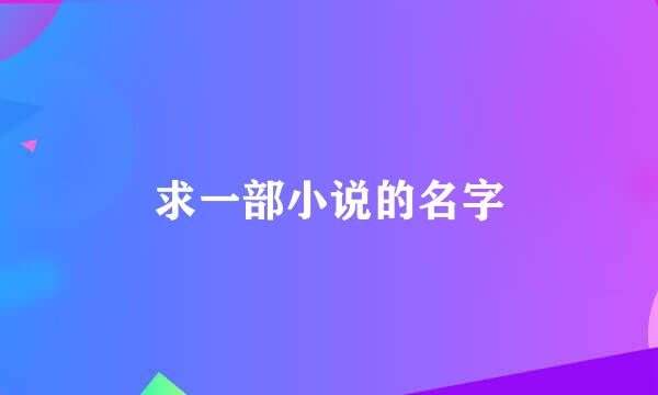 求一部小说的名字