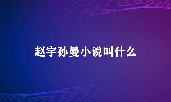 赵宇孙曼小说叫什么