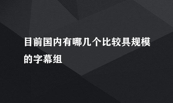 目前国内有哪几个比较具规模的字幕组