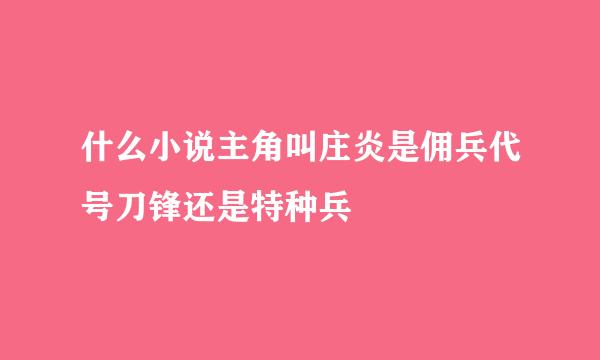 什么小说主角叫庄炎是佣兵代号刀锋还是特种兵