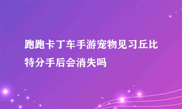 跑跑卡丁车手游宠物见习丘比特分手后会消失吗