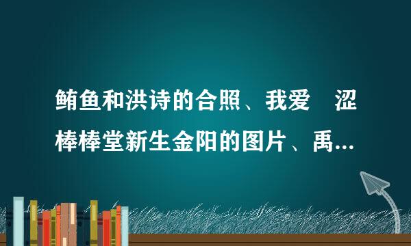 鲔鱼和洪诗的合照、我爱黒涩棒棒堂新生金阳的图片、禹哲的Q版头像