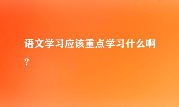 语文学习应该重点学习什么啊？