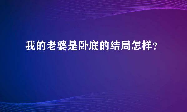 我的老婆是卧底的结局怎样？