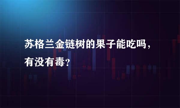 苏格兰金链树的果子能吃吗，有没有毒？