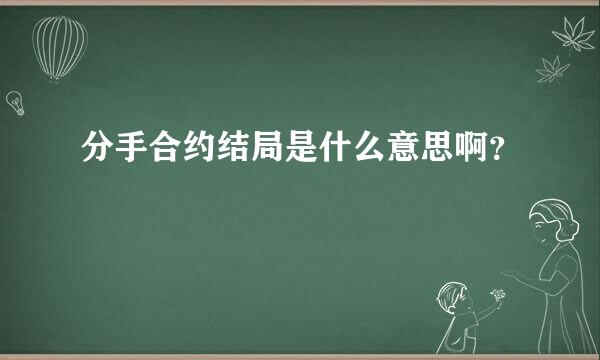 分手合约结局是什么意思啊？