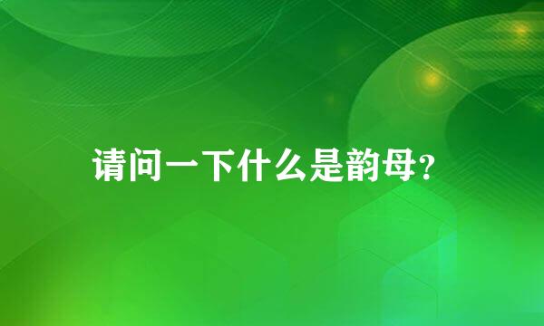 请问一下什么是韵母？