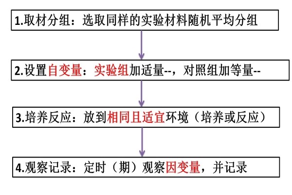 简述实验设计要遵循的基本原则